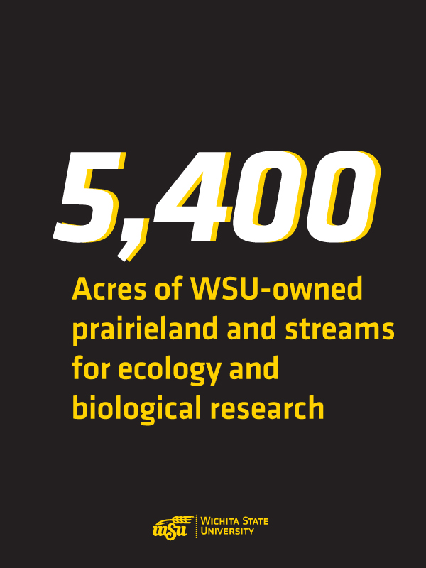 5,400 acres of 蜜汁TV-owned prairieland and streams for ecology and biological research