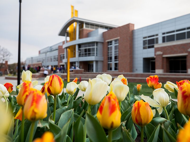 tulips in front of rsc